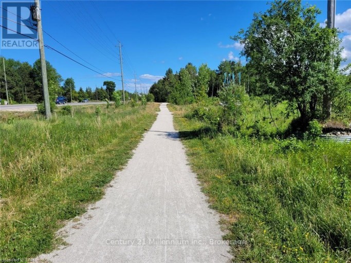 11325 26 HIGHWAY, Collingwood, Ontario, L9Y5H8