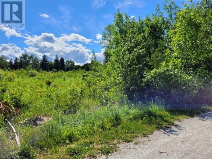11325 26 HIGHWAY, Collingwood, Ontario, L9Y5H8