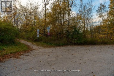 114 ELIZABETH STREET Barrie (Ardagh) Ontario photo 30