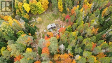 124 CARDWELL LAKE ROAD Huntsville (Stisted) Ontario photo 12