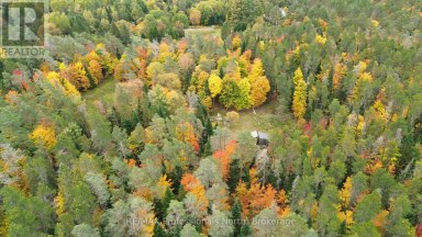 124 CARDWELL LAKE ROAD Huntsville (Stisted) Ontario photo 13