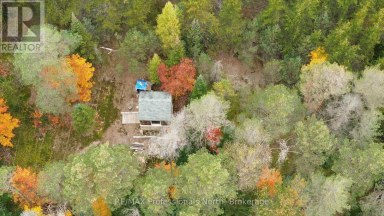 124 CARDWELL LAKE ROAD Huntsville (Stisted) Ontario photo 14
