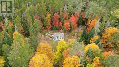 124 CARDWELL LAKE ROAD Huntsville (Stisted) Ontario photo 16