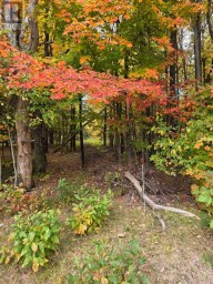 124 CARDWELL LAKE ROAD Huntsville (Stisted) Ontario photo 17