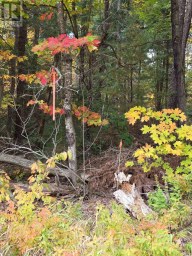 124 CARDWELL LAKE ROAD Huntsville (Stisted) Ontario photo 18