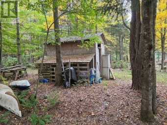 124 CARDWELL LAKE ROAD Huntsville (Stisted) Ontario photo 2