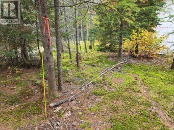 124 CARDWELL LAKE ROAD Huntsville (Stisted) Ontario photo 20