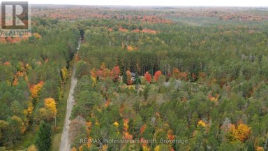 124 CARDWELL LAKE ROAD Huntsville (Stisted) Ontario photo 21