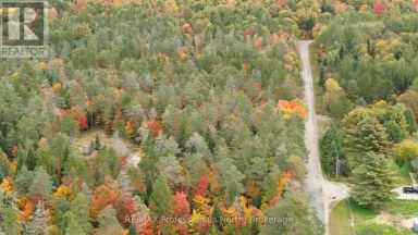 124 CARDWELL LAKE ROAD Huntsville (Stisted) Ontario photo 22
