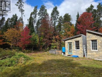 124 CARDWELL LAKE ROAD Huntsville (Stisted) Ontario photo 3