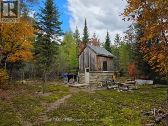 124 CARDWELL LAKE ROAD Huntsville (Stisted) Ontario photo 5
