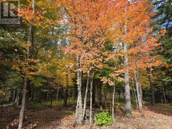 124 CARDWELL LAKE ROAD Huntsville (Stisted) Ontario photo 7
