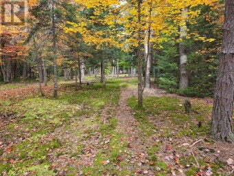 124 CARDWELL LAKE ROAD Huntsville (Stisted) Ontario photo 8