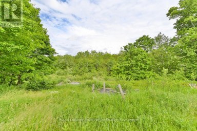 369 5TH CONCESSION RD S ROAD Addington Highlands (Addington Highlands) Ontario photo 28