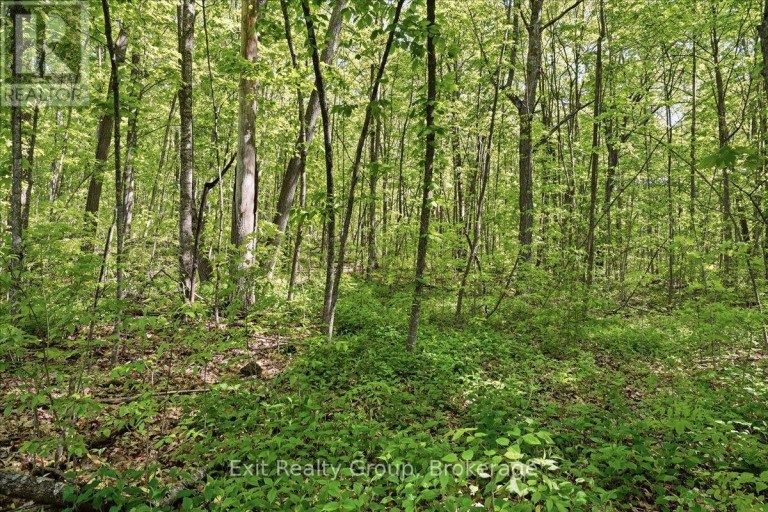 75 SPRY ROAD, Stirling-Rawdon (Rawdon Ward), Ontario, K0K3E0