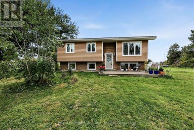 222 LORNEVILLE ROAD Kawartha Lakes (Woodville) Ontario photo 3