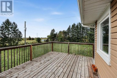 222 LORNEVILLE ROAD Kawartha Lakes (Woodville) Ontario photo 40