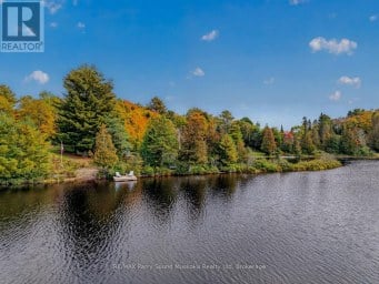 134 JOHNSTON ROAD Magnetawan (Spence) Ontario photo 43