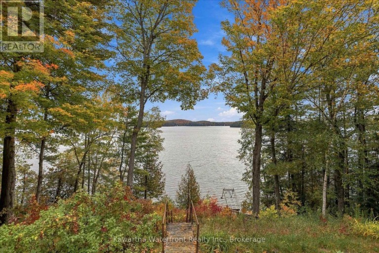 1628 LEWIS ROAD, Highlands East (Cardiff Ward), Ontario, K0L1C0