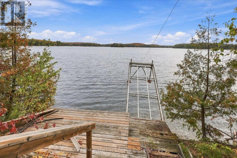 1628 LEWIS ROAD, Highlands East (Cardiff Ward), Ontario, K0L1C0