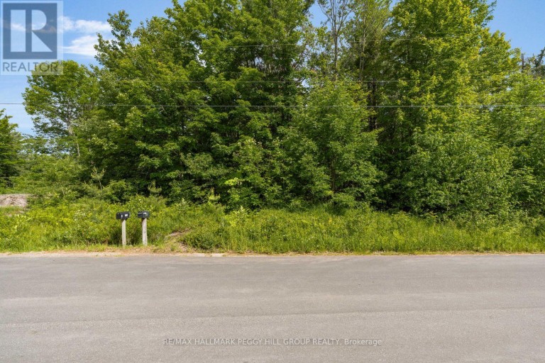 00 GERMANIA ROAD, Bracebridge (Draper), Ontario, P1P1R3