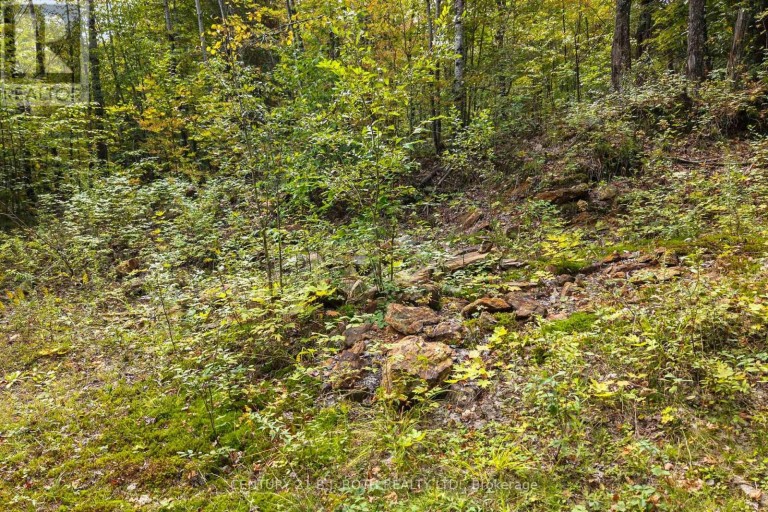 PT 23 & 24 4 CONCESSION, Dysart et al (Dysart), Ontario, K0M1S0