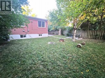 262 MCCONVEY DRIVE Richmond Hill (Crosby) Ontario photo 3