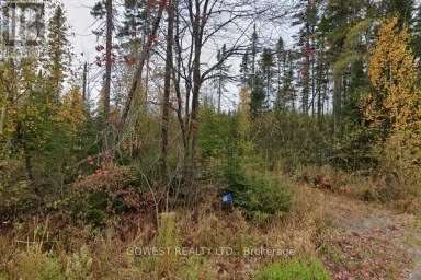 60 STAHLS ROAD Huntsville (Chaffey) Ontario photo 2