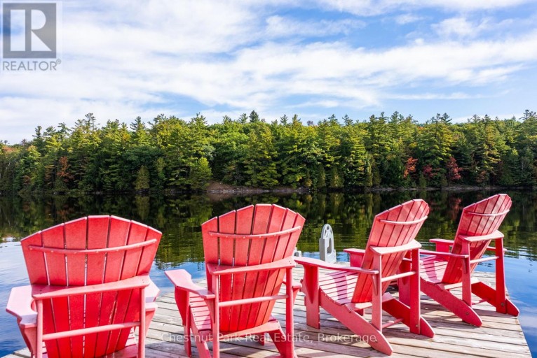 1047 HALLETT ROAD S, Muskoka Lakes (Medora), Ontario, P0B1J0