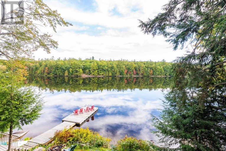 1047 HALLETT ROAD S, Muskoka Lakes (Medora), Ontario, P0B1J0