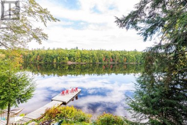 1047 HALLETT ROAD S Muskoka Lakes (Medora) Ontario photo 3