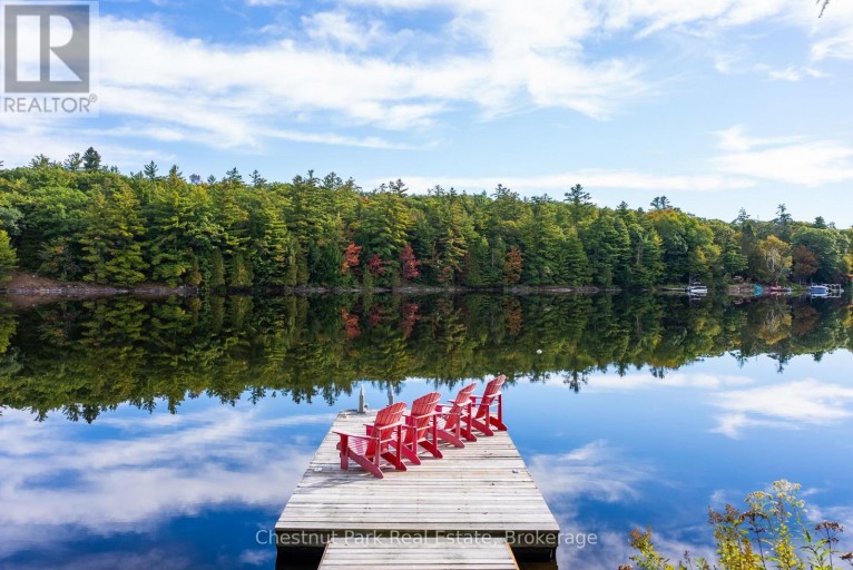 1047 HALLETT ROAD S, Muskoka Lakes (Medora), Ontario, P0B1J0