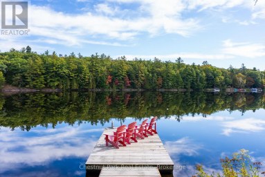 1047 HALLETT ROAD S Muskoka Lakes (Medora) Ontario photo 4