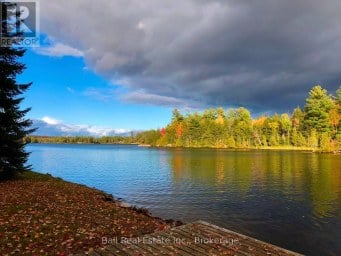 106 IRWIN DRIVE Trent Lakes Ontario photo 42