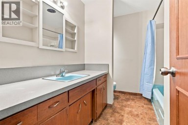 203 42 Avenue SW Calgary Alberta photo 17