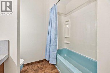 203 42 Avenue SW Calgary Alberta photo 18