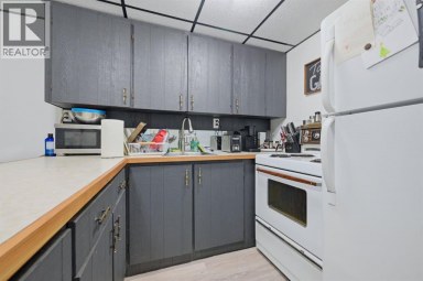 203 42 Avenue SW Calgary Alberta photo 28