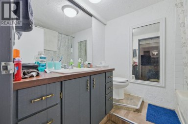 203 42 Avenue SW Calgary Alberta photo 31