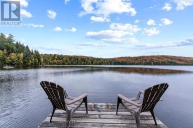 1255 ROSS LAKE ROAD Dysart et al (Harburn) Ontario photo 4
