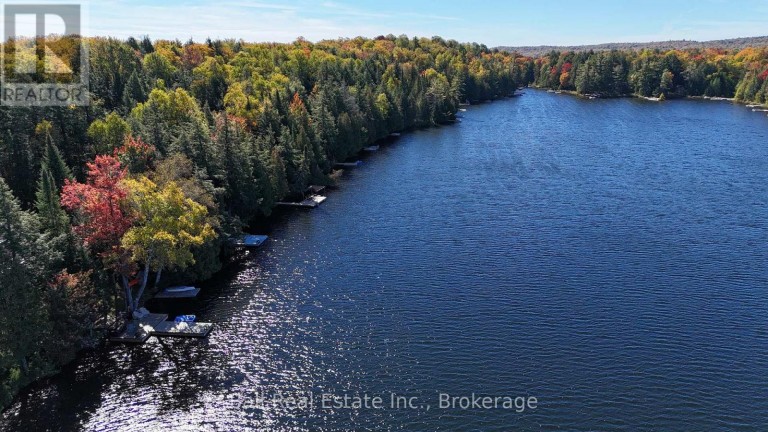 1034 CHARLIE GEORGE LAKE DRIVE N, Dysart et al (Harcourt), Ontario, K0L1X0