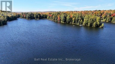 1034 CHARLIE GEORGE LAKE DRIVE N Dysart et al (Harcourt) Ontario photo 5