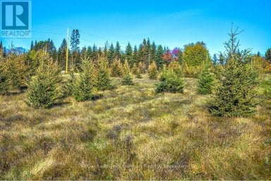 2265 GOVERNMENT ROAD Thunder Bay (McIntyre South) Ontario photo 3