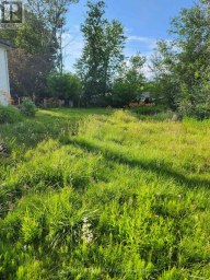 310 TERRACE DRIVE Georgina (Keswick South) Ontario photo 4