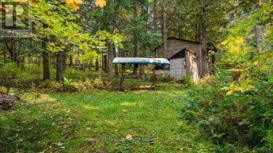 26 RIVERSIDE COURT Hastings Highlands (Herschel Ward) Ontario photo 43