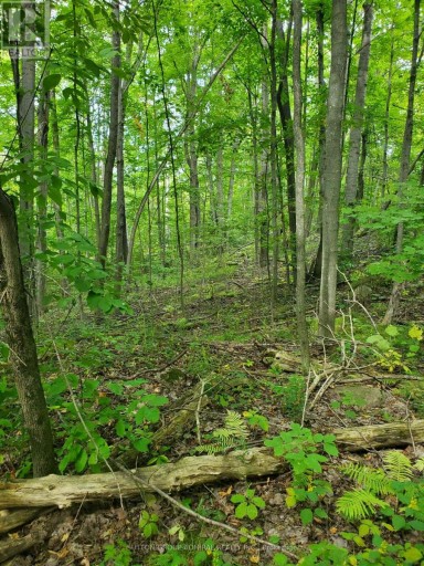 0 PT LT 4 CON 8 PERCY PT 234, Trent Hills, Ontario, A0A0A0