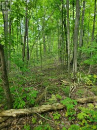 0 PT LT 4 CON 8 PERCY PT 234 Trent Hills Ontario photo 2