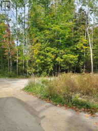 0 PT LT 4 CON 8 PERCY PT 234 Trent Hills Ontario photo 4