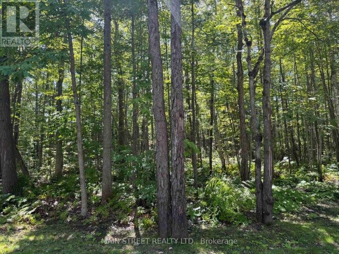 21 - 1007 RACOON ROAD, Gravenhurst (Morrison), Ontario, P1P0C2