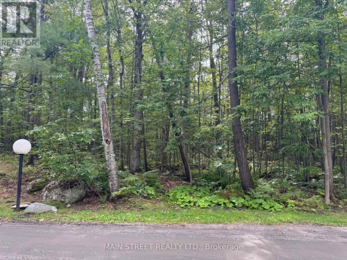 21 - 1007 RACOON ROAD, Gravenhurst (Morrison), Ontario, P1P0C2