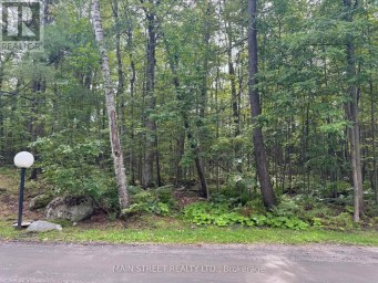 21 - 1007 RACOON ROAD Gravenhurst (Morrison) Ontario photo 32